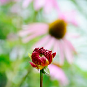 Impressionen1